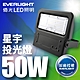 【億光EVERLIGHT】LED 星宇 50W 全電壓 IP65 投光燈(白光/黃光) product thumbnail 2