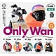 全套5款 日本正版 Only Wan Vol 1.5 扭蛋 轉蛋 動物模型 潮流狗狗 時尚狗狗 雪納瑞 法鬥 - 660090 product thumbnail 1