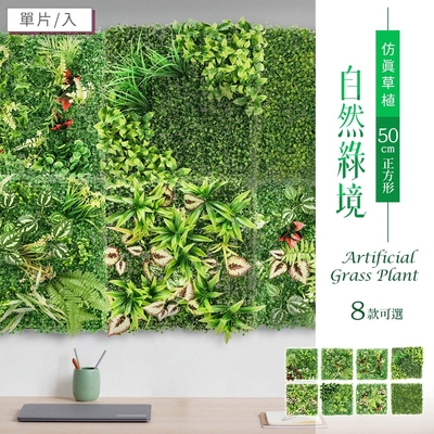 dayneeds 仿真草植-自然綠境(50cm正方形/多款可選) 植生牆/仿真植物牆/綠植園藝