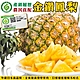 【果農直配】產銷履歷金鑽鳳梨4顆(每顆約1200g) product thumbnail 1