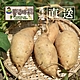 蕃婆林休閒農場 產銷履歷台農57號黃金地瓜(3.6kg) product thumbnail 1