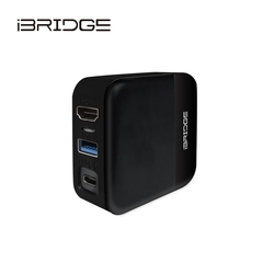 iBRIDGE Switch Dock PD充電器