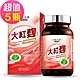 台鹽生技 大紅麴 紅麴素食膠囊(60粒x5瓶，共300粒) product thumbnail 1