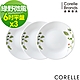 【美國康寧】CORELLE 6吋平盤三入組 (六款花色可選) product thumbnail 3