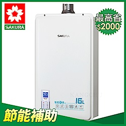 櫻花牌 DH1633A 16L強制排氣熱水器