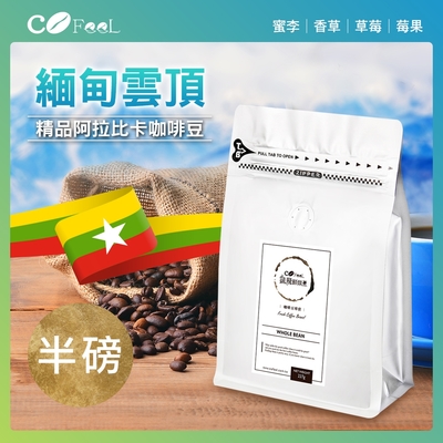 CoFeel 凱飛鮮烘豆緬甸雲頂2800米淺中烘焙精品阿拉比卡咖啡豆半磅