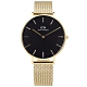 DW Daniel Wellington PETITE EVERGOLD 經典米蘭編織不鏽鋼手錶-黑x鍍香檳金/36mm product thumbnail 1