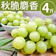 [甜露露] 酥脆~美國秋脆麝香綠無籽葡萄4斤禮盒 product thumbnail 1