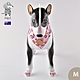 澳洲Pablo & Co 寵物領巾 更美麗彩虹 M product thumbnail 1