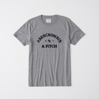 AF a&f Abercrombie & Fitch 短袖T恤灰色 1346