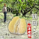 【鶴岡嚴選】老欉50年花蓮鶴岡特優文旦10斤禮盒6箱(10-13顆/箱) product thumbnail 1