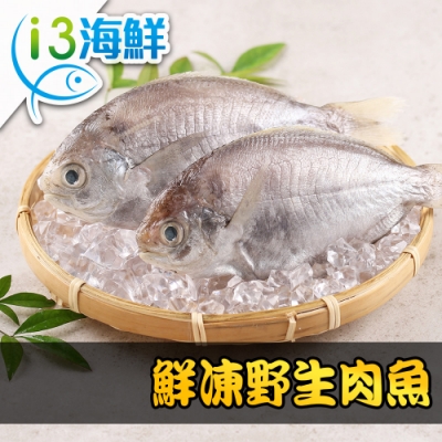 【愛上海鮮】鮮凍野生肉魚8包組(180g±10%/包/兩尾一包)