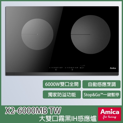 Amica X2-6000MB TW