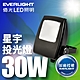 【億光EVERLIGHT】LED 星宇 30W 全電壓 IP65 投光燈(白光/黃光) product thumbnail 2