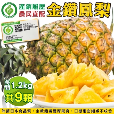 【果農直配】產銷履歷金鑽鳳梨9顆(每顆約1200g)