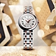 TISSOT 天梭 官方授權 BELLISSIMA SMALL LADY 羅馬石英女錶 母親節送禮-26mm T1260102201301 product thumbnail 2