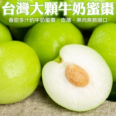 【天天果園】台灣燕巢區牛奶蜜棗大顆12入禮盒(每顆約120g)