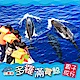 (花蓮)多羅滿 賞鯨親子券(一大一小) product thumbnail 1