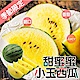 【天天果園】嚴選甜蜜蜜小玉西瓜1顆(每顆約2.5kg) product thumbnail 1