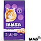 IAMS 愛慕思 健康優活 雞肉 幼貓糧 3.5磅 2包組 product thumbnail 1