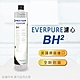 【Everpure】美國原廠平行輸入 BH2濾心 product thumbnail 1
