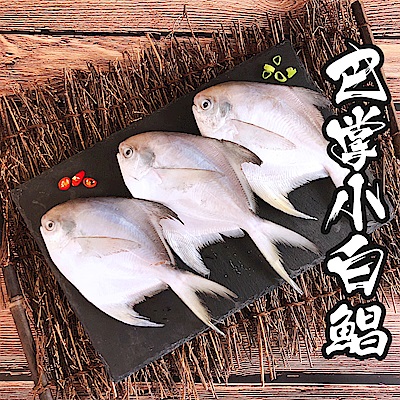 【海鮮王】巴掌小白鯧x12隻組(150g±10%/隻) (無去腮去肚)