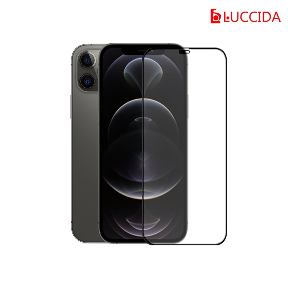 LUCCIDA Apple iPhone 11 Pro / Xs 冷雕玻璃貼【3D滿版】