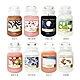 YANKEE CANDLE 洋基香氛蠟燭 623G (多款任選) product thumbnail 1