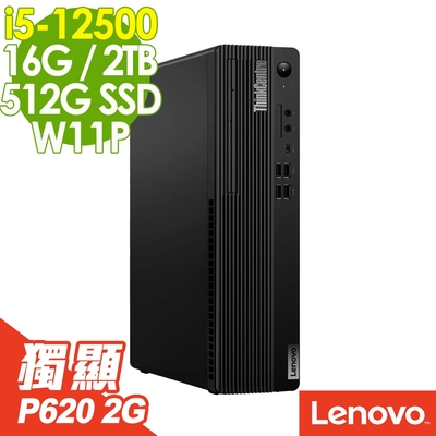 Lenovo ThinkCentre M70t (i5-13500/16G/1TB+512G SSD/W11P) | i5