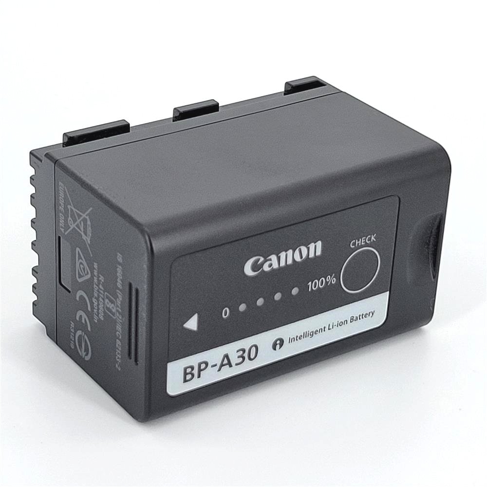 Canon BP-A30 2個 - ビデオカメラ
