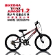 BIKEDNA TRINX JUNIOR 1.2 20吋6速SHIMANO指撥 低跨點前避震登山車 前輪快拆MTB童車 青少年兒童自行車 product thumbnail 9