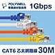 POLYWELL CAT6 高速乙太網路線 UTP 1Gbps 30M 黑色 product thumbnail 1