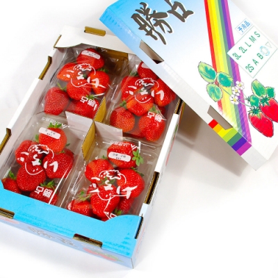 【鮮果日誌】日本進口空運草莓(精美禮盒4入裝)