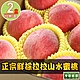 【享吃鮮果】正宗鮮採拉拉山水蜜桃2箱(1.3kg±10%/10顆) product thumbnail 1