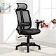 LOGIS邏爵- 非特護腰成型棉座網背椅 辦公椅 電腦椅 書桌椅 6色 product thumbnail 1