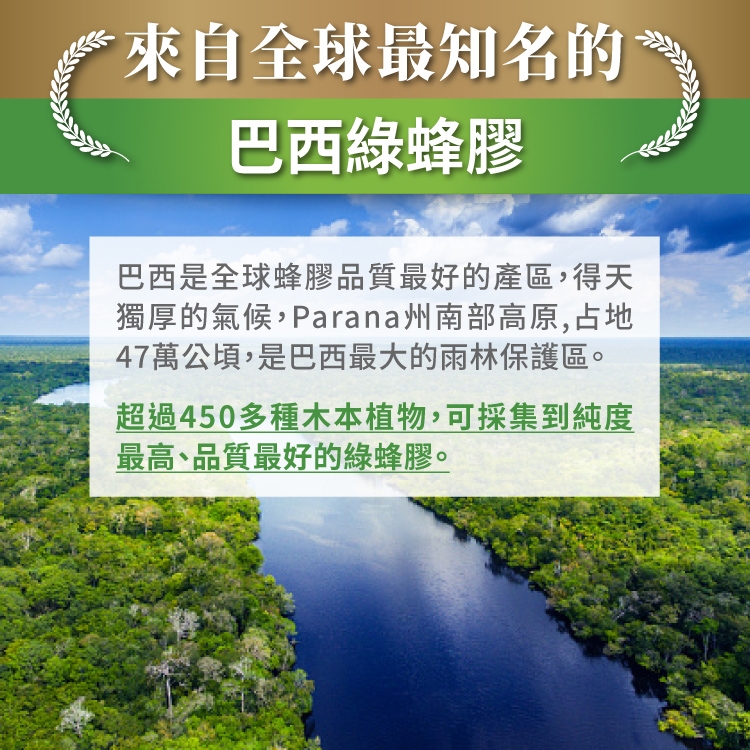 來自全球最知名的巴西綠蜂膠巴西是全球蜂膠品質最好的產區,得天獨厚的氣候,Parana州南部高原,占地47萬公頃,是巴西最大的雨林保護區。超過450多種木本植物,可採集到純度最高、品質最好的綠蜂膠。