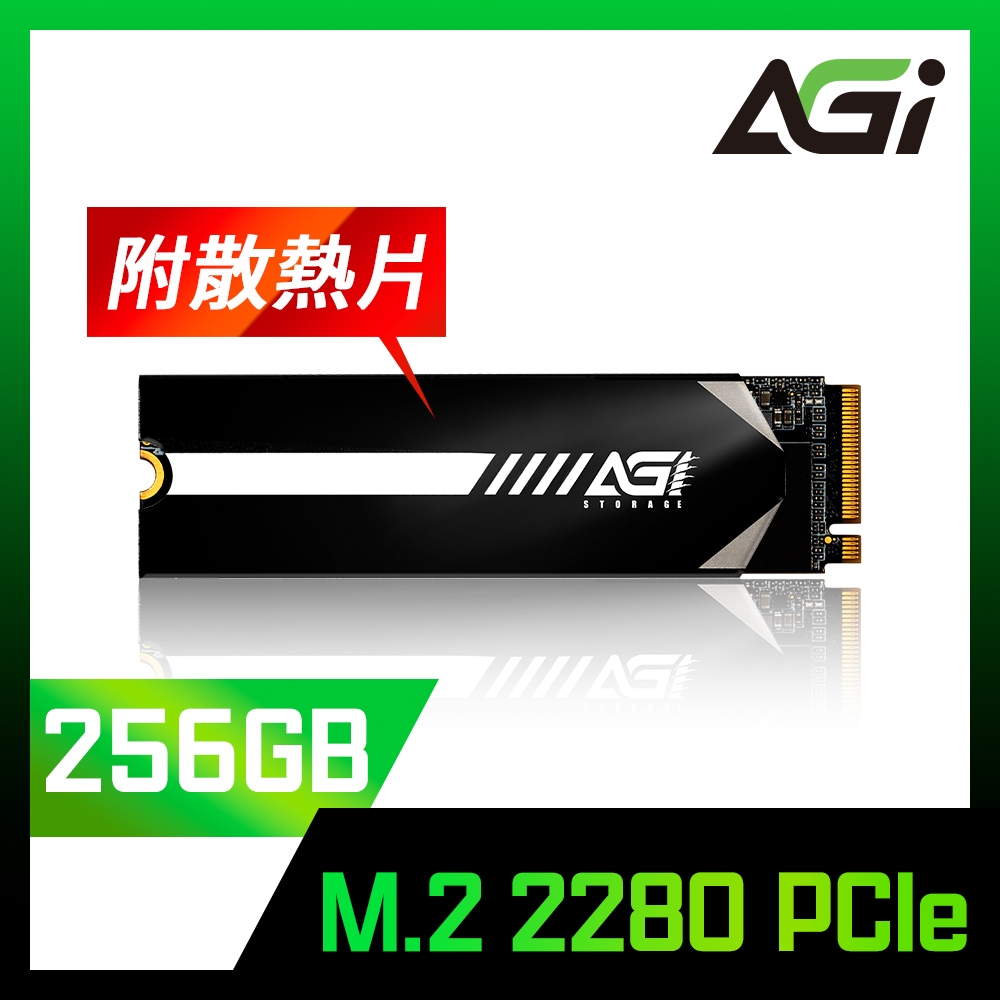 AGI亞奇雷 AI218 256GB PCIe SSD固態硬碟