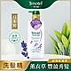 [Timotei 蒂沐蝶]日本薰衣草豐盈植萃洗髮精500g product thumbnail 2