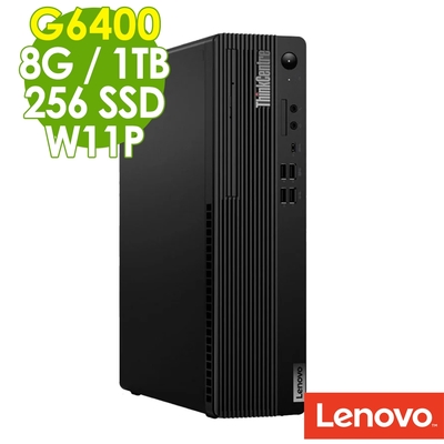 Lenovo ThinkCentre M70s (G6400/8G/1TB+256G SSD/W11P)