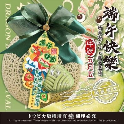 愛蜜果 台灣網紋哈密瓜2入禮盒 約5斤/盒 (阿露斯/日本品種)