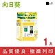 向日葵 for HP NO.10 C4844A 黑色 環保墨水匣 /適用 Business Inkjet 1000/1100/Color Inkjet CP1700/DesignJet 100 product thumbnail 1