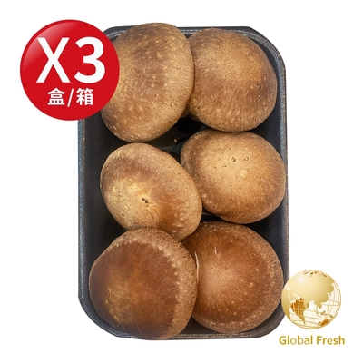 盛花園蔬果 南投埔里鮮香菇150g x3盒(溫控環控栽培)