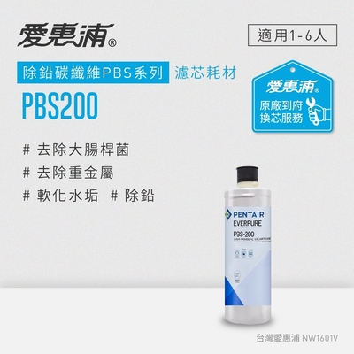 愛惠浦 EVERPURE PBS200碳纖活性碳濾芯(到府更換)可取代OW2PLUS濾芯