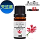 【 ANDZEN 】單方純精油5ml-天竺葵 天然 草本 product thumbnail 1