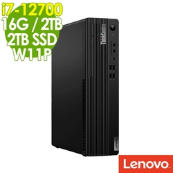 Lenovo ThinkCentre M70s (i7-12700/16G/2TB+2TB SSD/W11P)