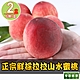 【享吃鮮果】正宗鮮採拉拉山水蜜桃2箱(1.3kg±10%/6顆/箱) product thumbnail 1