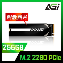 AGI亞奇雷 AI218 256GB PCIe SSD固態硬碟