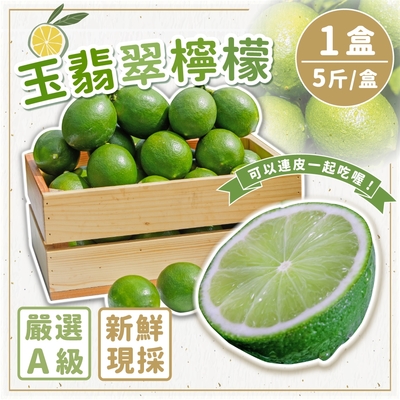 家購網嚴選 A級玉翡翠檸檬 5斤/盒 (23~25顆)