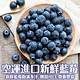 【天天果園】祕魯/智利/紐西蘭空運藍莓6盒(每盒約125g) product thumbnail 1