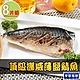 【享吃海鮮】頂級挪威薄鹽鯖魚8片組(140g±10%/片) product thumbnail 1